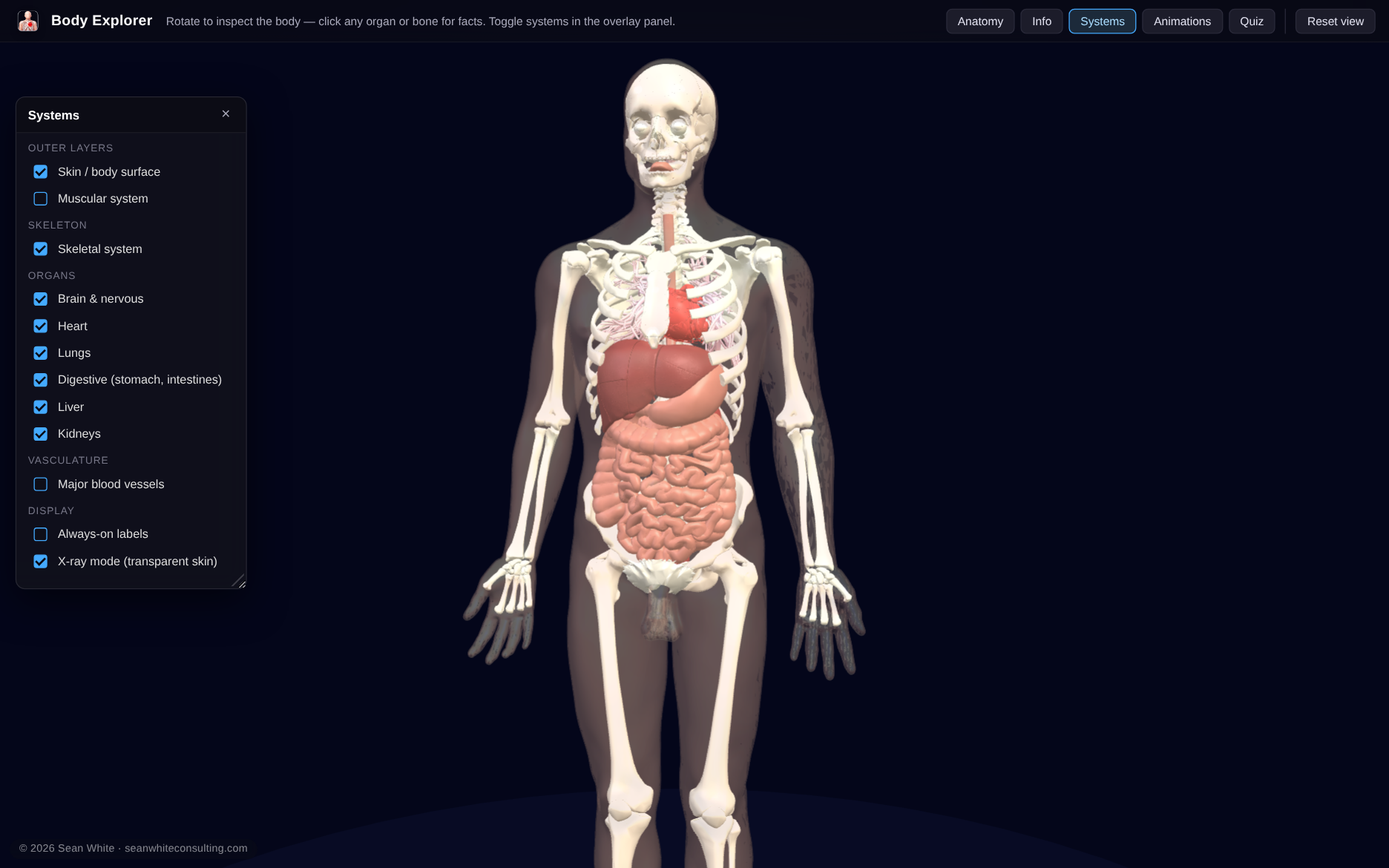 Body Explorer screenshot