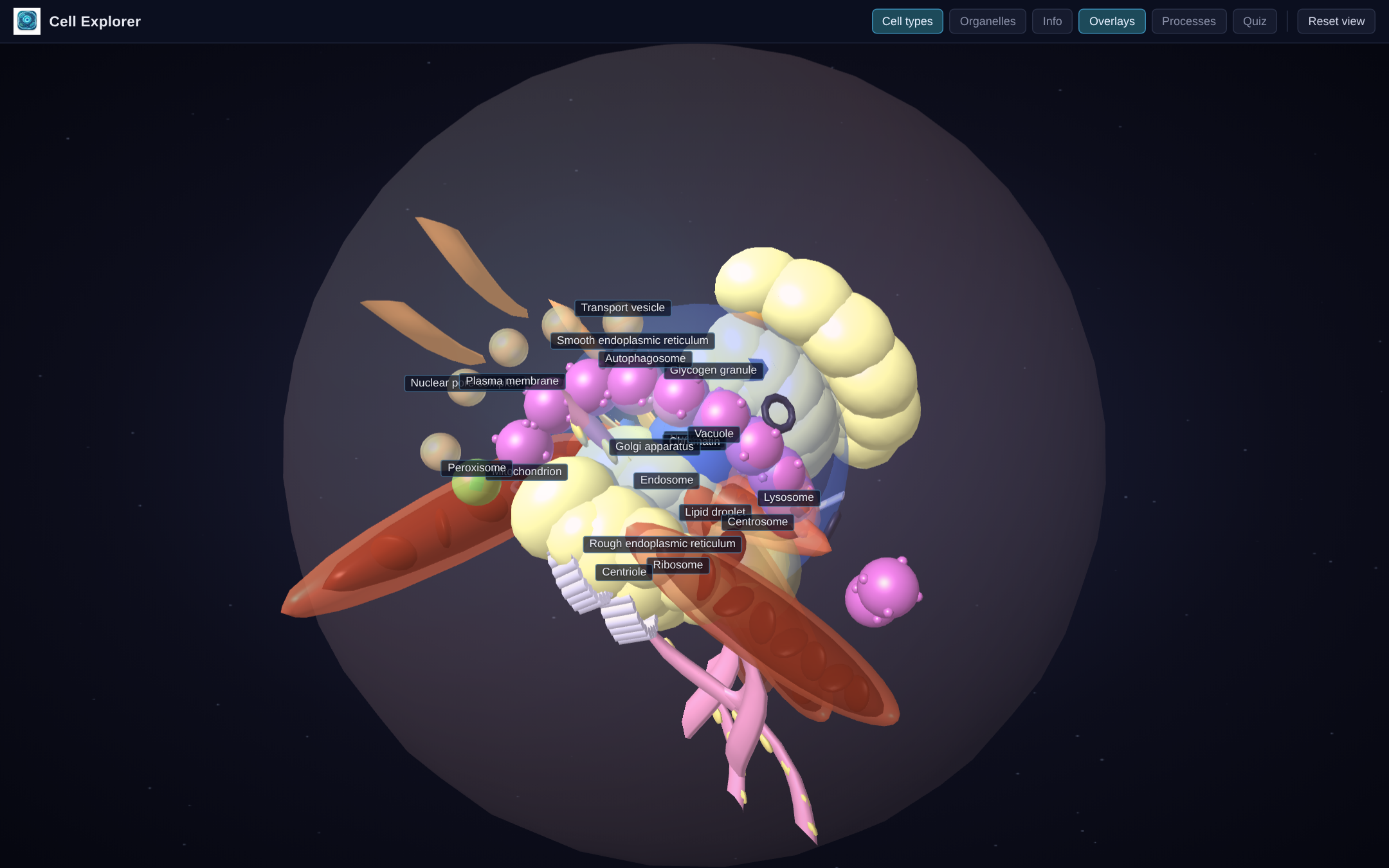Cell Explorer